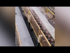 horno de silicato de sodio de proceso seco / máquina para fabricar silicato de sodio sólido